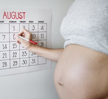 How To Calculate Pregnancy: Weeks, Months And Trimesters | Antipresscare